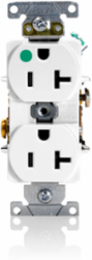 20 Amp Heavy-Duty Hospital Grade Duplex Receptacle, 125 Volt, Self-Grounding