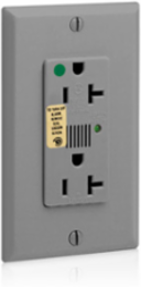 Decora Plus 20 Amp Surge Protective Duplex Receptacle Outlet, 125 Volt, Heavy-Duty