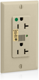 Decora Plus 20 Amp 125 Volt Surge Protective Duplex Receptacle Outlet, Ivory