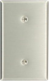 1-Gang Blank Wallplate, Standard Size, Strap Mount, 302 Stainless Steel