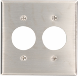 2-Gang Device Wallplate, Standard Size, 1.406 Inch Holes, Stainless Steel