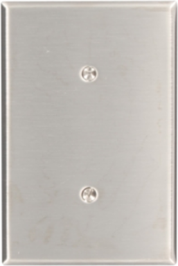 1-Gang Oversized Blank Wallplate, 302 Stainless Steel, Strap Mount