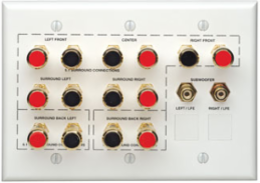 Home Theater Interface Wallplate, 14 Gold-Plated Clips, 2 RCA Connectors