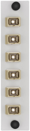 LGX 6-Pack Plate with SC Adapters, 6 Fibers, Phosphor Bronze Sleeve, Beige