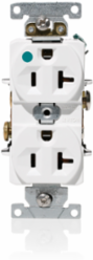20 Amp Duplex Receptacle, Hospital Grade, Self-Grounding, 125 Volt