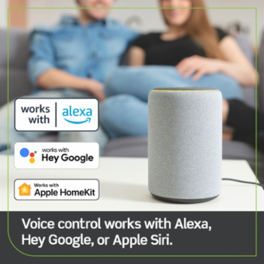 Decora Smart Plug, Indoor, Wi-Fi