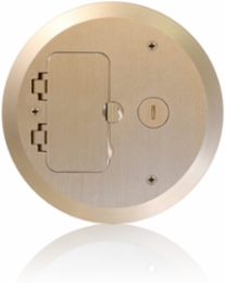 Brass Cover Plate for Concrete Floor Box System, 6.50 Inch x 0.38 Inch, ADA-Compliant