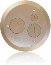 Concrete Cover Plate, 6.50 Inch x 0.38 Inch, Brass, ADA-Compliant
