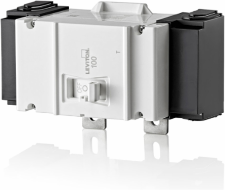 100A 2-Pole Thermal Magnetic Circuit Breaker 22kA, 120/240V