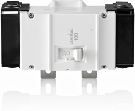 100A 2-Pole Thermal Magnetic Circuit Breaker 22kA, 120/240V