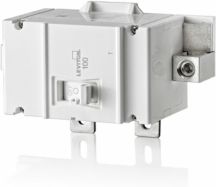 100A 2-Pole Thermal Magnetic Circuit Breaker 22kA, 120/240V