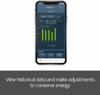Whole Home Energy Monitor with Wi-Fi, 1 Pair of CTs, Smart Control Features
