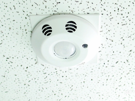 Provolt™ Occupancy Sensor, 1000 Sq Ft Coverage, 120-277V, Multi-Technology