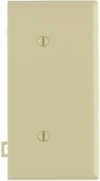 1-Gang Sectional Blank Wallplate, Nylon, Strap Mount, Ivory, UL/CSA