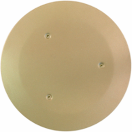 Poke-Through Abandonment Plate, Brass 8.38 Inch Diameter, ADA-Compliant