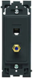 Renu QuickPort 2-Port Insert for Phone/TV Connections, Onyx Black, Polycarbonate