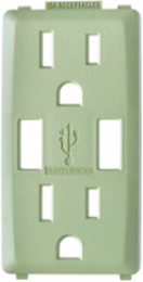 Renu 15 Amp USB Charger GFCI Outlet Color Change Kit, Prairie Sage