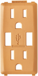 Renu 15 Amp USB Charger GFCI Outlet Color Change Kit, Toasted Coconut