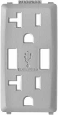 Renu 20 Amp USB Charger Tamper-Resistant GFCI Outlet Color Change Kit, Pebble Grey