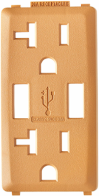 Renu 20 Amp USB Charger GFCI Outlet Color Change Kit, Toasted Coconut
