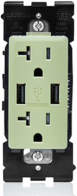 RENU® 3.6 USB Type-A/20 Amp Tamper-Resistant Outlet/Receptacle, Prairie Sage