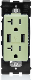 RENU® 3.6 USB Type-A/20 Amp Tamper-Resistant Outlet/Receptacle, Prairie Sage