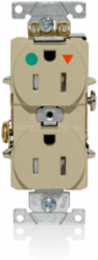 Tamper-Resistant Isolated Ground Duplex Receptacle, 15 Amp, 125 Volt, NEMA 5-15R