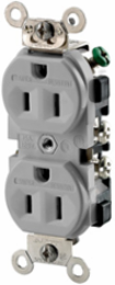 Weather and Tamper-Resistant Duplex Receptacle 15 Amp 125 Volt