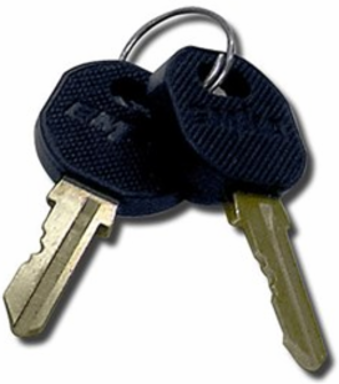 Replacement Keys for Z1000 Zone Enclosures, Includes 2 Keys, RoHS Compliant