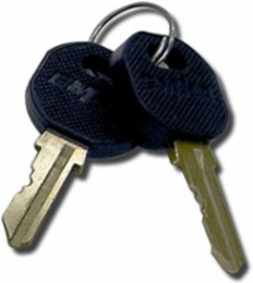 Replacement Keys for Z1000 Zone Enclosures, Includes 2 Keys, RoHS Compliant