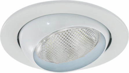 4"TRIM P20 50W,WHITE,EYEBALL