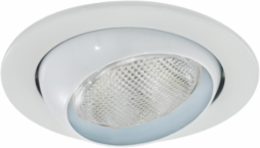 4"TRIM P20 50W,WHITE,EYEBALL