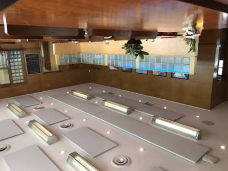 Brushed Nickel LUNA 56 PRO Recessed Downlight, 90 CRI, 17W, 5-6 Inch