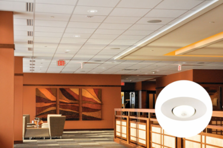 LITH 250 WH 6IN Downlight Open Fram