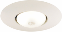 LITH 250 WH 6IN Downlight Open Fram