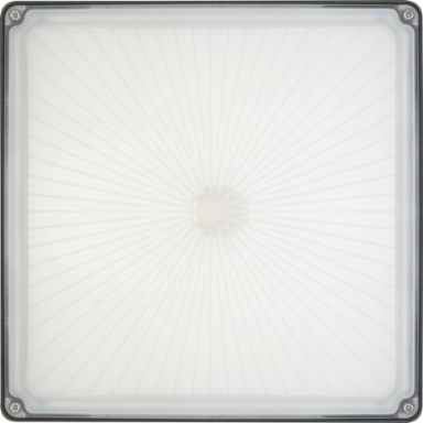 Outdoor Square Canopy Light 10.25 Inch x 10.25 Inch, 6.5 Lb
