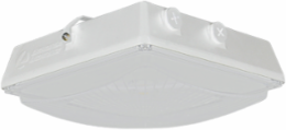 Outdoor Square Canopy Light 10.25 Inch x 10.25 Inch, 6.5 Lb