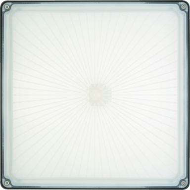 LED Canopy Light, 10 Inch, 1 Lamp, Bronze
