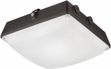 Energy-Efficient Canopy Light, 10 Inch x 4.5 Inch, Aluminum