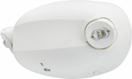 Dual LED Fixture, 2 Lamps, 120/347 V, White