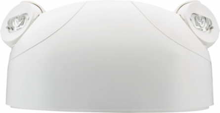 LED Remote Light Head, 220 Lumens, 2 Lamps, Adjustable Optics