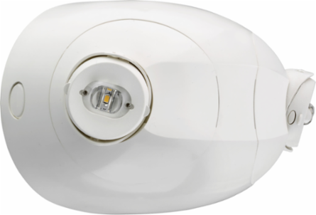 LED Remote Light Head, 220 Lumens, 2 Lamps, Adjustable Optics