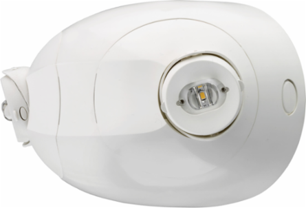 LED Remote Light Head, 220 Lumens, 2 Lamps, Adjustable Optics