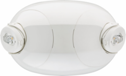 LED Remote Light Head, 220 Lumens, 2 Lamps, Adjustable Optics