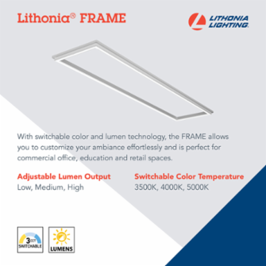 LED Flat Panel Light, 1 ft. x 4 ft., Switchable Color Temp
