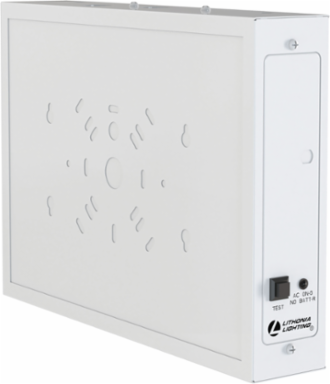 Running Man LED Emergency Light, 2.5W, 120-347V, White, Steel