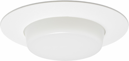 LITH V3041 PW 6IN Drop Opal Shower