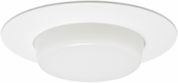 LITH V3041 PW 6IN Drop Opal Shower