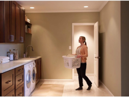 Maestro 2A Motion Sensor Switch, 180° Field of View, Indoor Use