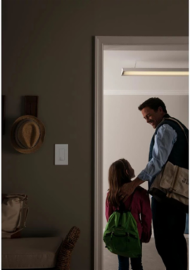 Maestro Motion Sensor Switch, 5A Lighting, 180-Degree Field of View, Gray